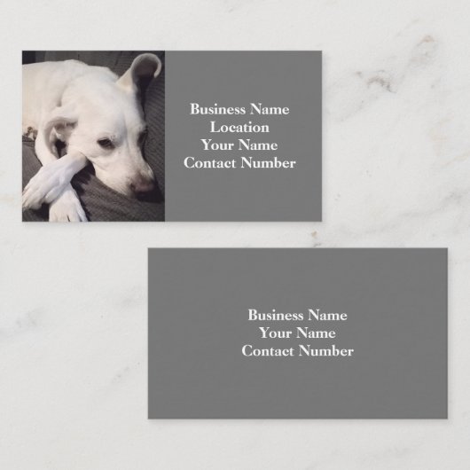 美しい白犬のグレーの写真 名刺 (正面/裏面)