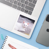 美しい白猫 シール (ノートパソコンとiPhone)