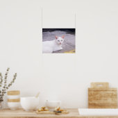 美しい白猫 ポスター (キッチン)