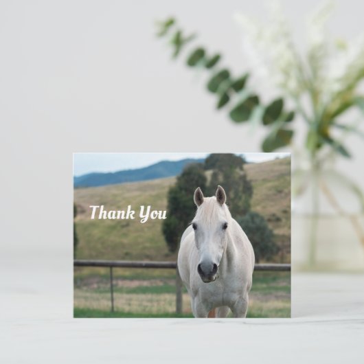 美しい白馬のアパルーザの写真をありがとう ポストカード (スタンド正面)