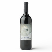 美しい白馬の誕生日