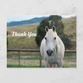 美しい白馬アパルーサ写真ありがとう ポストカード (正面)