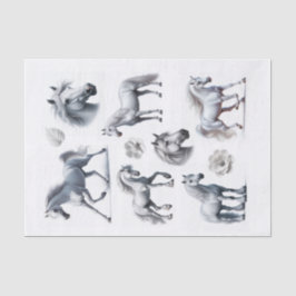 美しい白馬フッシーが芸術を切り取る 薄葉紙