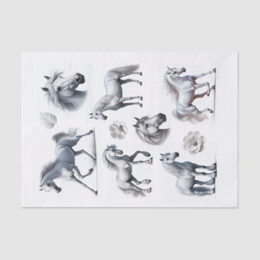 美しい白馬フッシーが芸術を切り取る 薄葉紙 (正面)