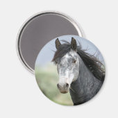 美しい白馬 マグネット (正面/裏面)