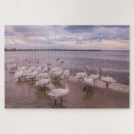 美しい白鳥の朝のパズル ジグソーパズル