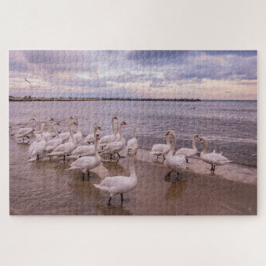 美しい白鳥の朝のパズル ジグソーパズル (横)