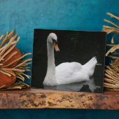 美しい白鳥の額 フォトプラーク (側面)