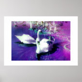 美しい白鳥 ポスター (正面)