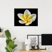 美しい白黄色のプルメリアの花 ポスター (ホームオフィス)