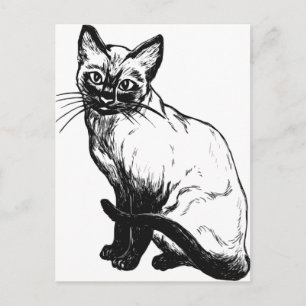 美しい白黒のアートワーク – シャム猫 ポストカード