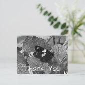 美しい白黒の蝶ありがとう ポストカード (スタンド正面)