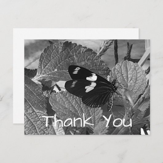 美しい白黒の蝶ありがとう ポストカード (正面/裏面)