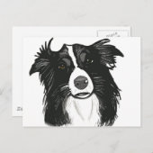 美しい白黒コリ縁どー ポストカード (正面/裏面)