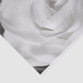 美しい白黒バラ 薄葉紙 (詳細)