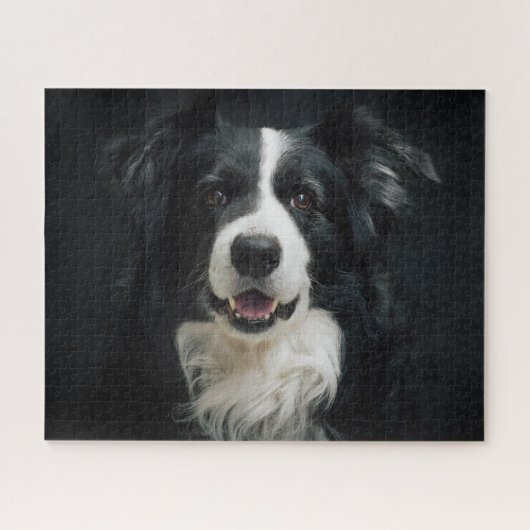美しい白黒縁どコリードッグ写真 ジグソーパズル (横)