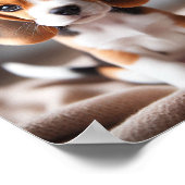 美しい目をした可愛いビーグルの子犬 ポスター (角)