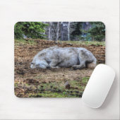 美しい眠れるホワイトマーレランチホース マウスパッド (マウス)