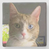 美しい眼猫 ストーンコースター (正面)