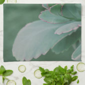 美しい砂漠の植物写真 キッチンタオル (折り畳み)