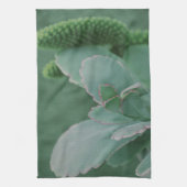 美しい砂漠の植物写真 キッチンタオル (縦)