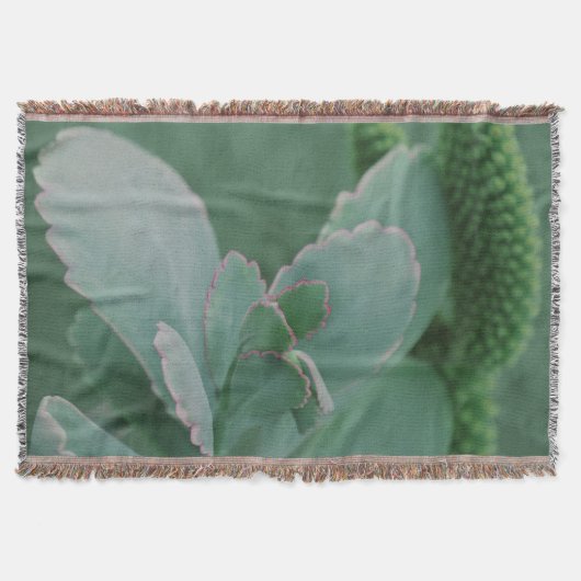 美しい砂漠の植物写真 スローブランケット (正面)