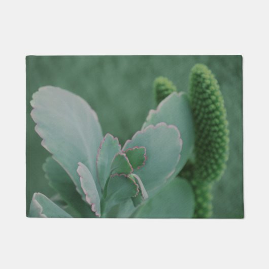 美しい砂漠の植物写真 ドアマット (正面)