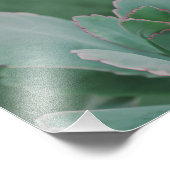 美しい砂漠の植物写真 フォトプリント            (角)