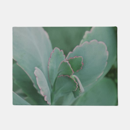 美しい砂漠の植物 ドアマット (正面)