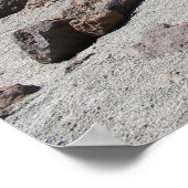 美しい砂漠 ポスター (角)