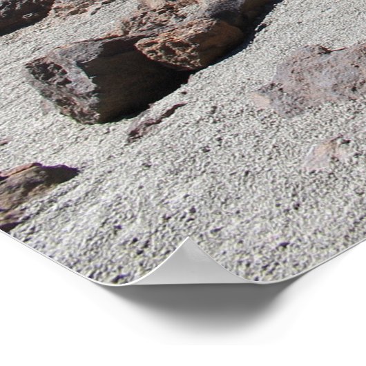 美しい砂漠 ポスター (角)