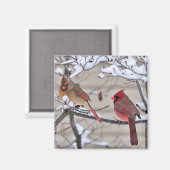 美しい磁石は雪の中に赤い深紅色を示している マグネット (正面/裏面)