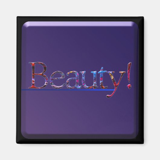 美しい磁石 マグネット (正面)