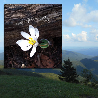 美しい神の手書きエマーソン自然 キャンバスプリント