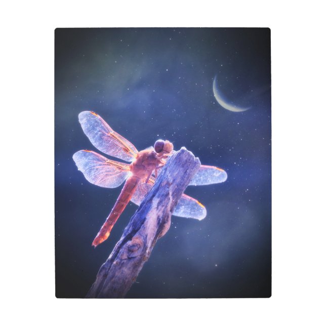 美しい神秘的なトンボと三日月 メタルプリント (正面)