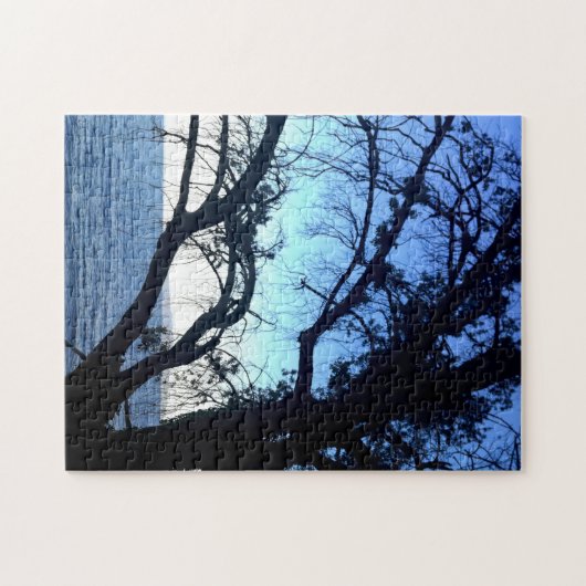 美しい神秘的な古いツリー海ビーチシーン写真 ジグソーパズル (横)