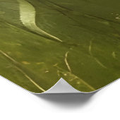 美しい秋のひまわり野草農場 ポスター (角)