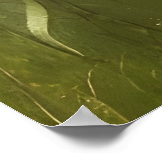 美しい秋のひまわり野草農場 ポスター (角)