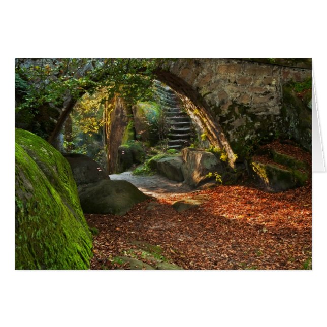 美しい秋の景色 (正面横)