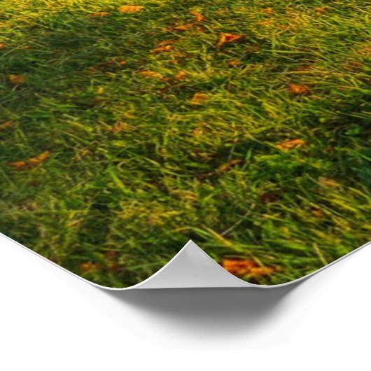 美しい秋の景色 ポスター (角)