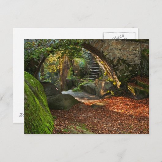 美しい秋の景色 ポストカード (正面/裏面)