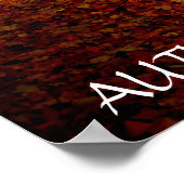 美しい秋の森 ポスター (角)