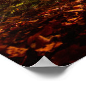 美しい秋の森 ポスター (角)