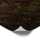 美しい秋の森 ポスター (角)