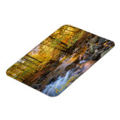 美しい秋の森 マグネット (左側)