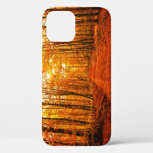 美しい秋の道の風景 Case-Mate iPhoneケース (裏面)