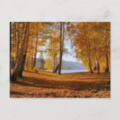美しい秋の風景 ポストカード (正面)