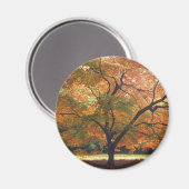 美しい秋ツリー マグネット (正面/裏面)