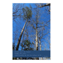 美しい秋デイポスター