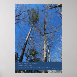 美しい秋デイポスター ポスター